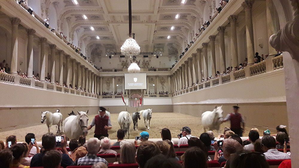 Blick vom Kaminzimmer in den Saal