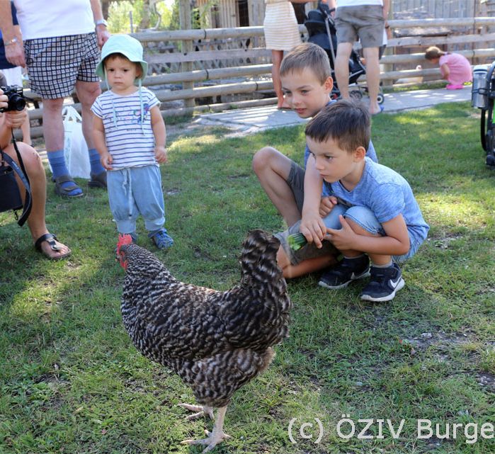 Kind mit Huhn