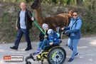 Menschen mit Lama