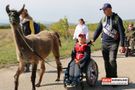 Bub im Rollstuhl mit Lama und Eltern