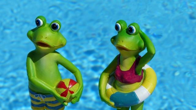 Frösche im Pool