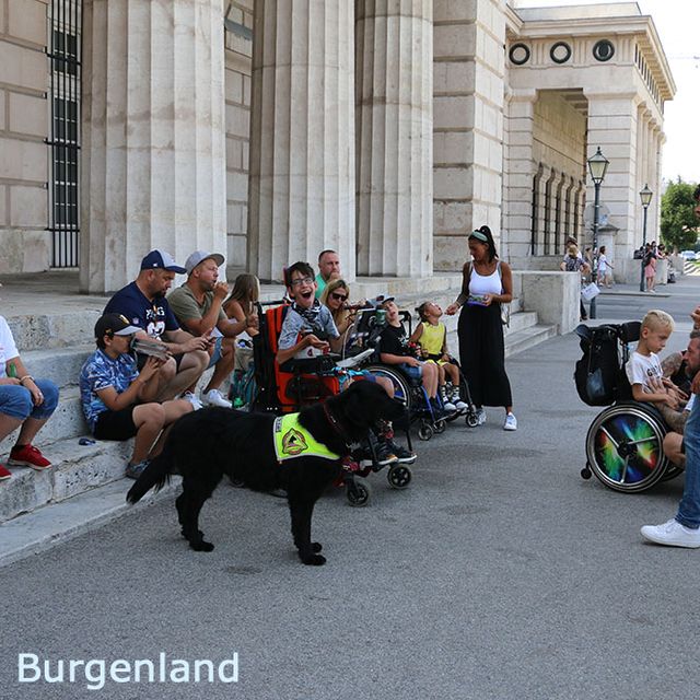 038 - Schattenplatzerl auf dem Heldenplatz