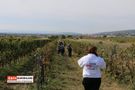 Die Gruppe auf dem Weg durch den Weingarten