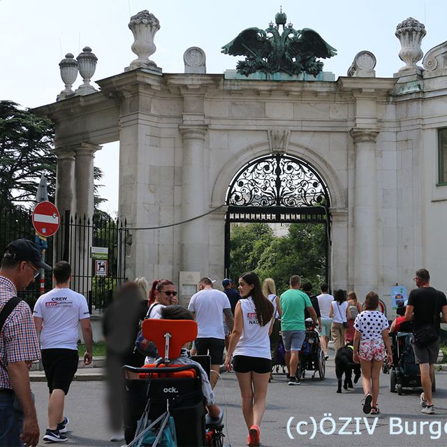 016 - der Weg in den Burggarten