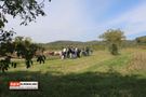Die Gruppe bei der Schafweide