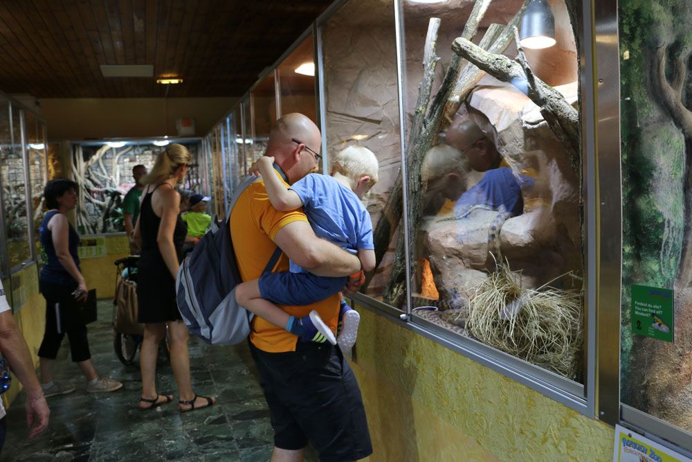 Mann mit Kind vor Terrarium