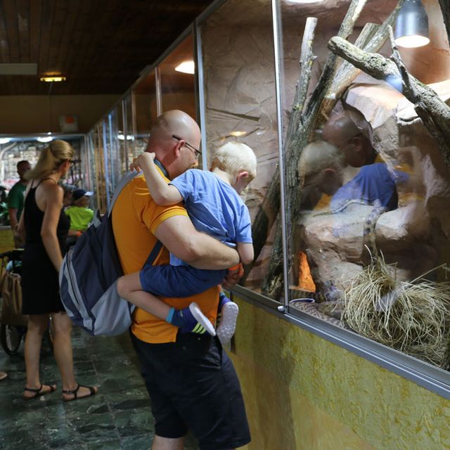 Mann mit Kind vor Terrarium