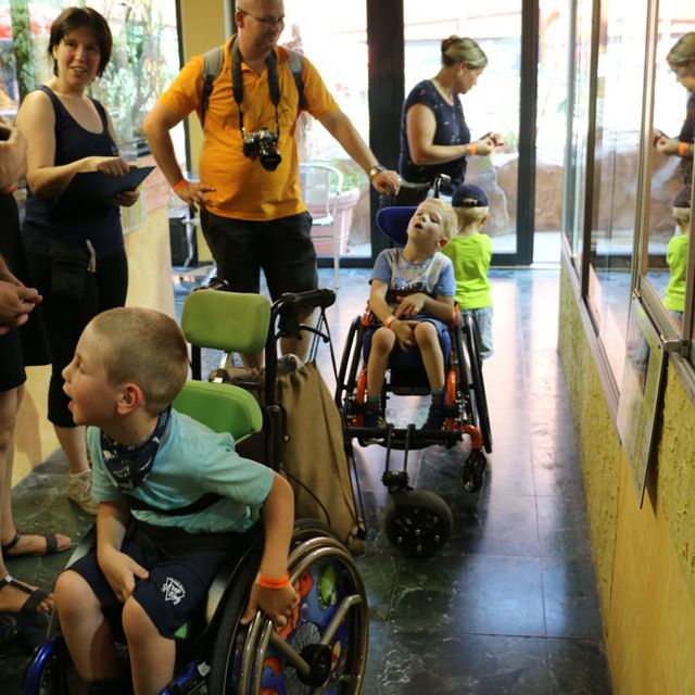 Gruppe bei Führung
