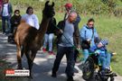 Menschen mit Lamas