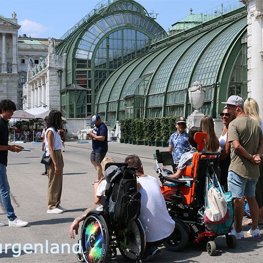 017 - im Burggarten, vor dem Palmenhaus