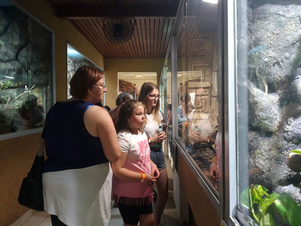 Menschen vor Terrarium