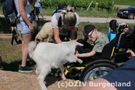 Kinder völlig ohne Berührungsangst