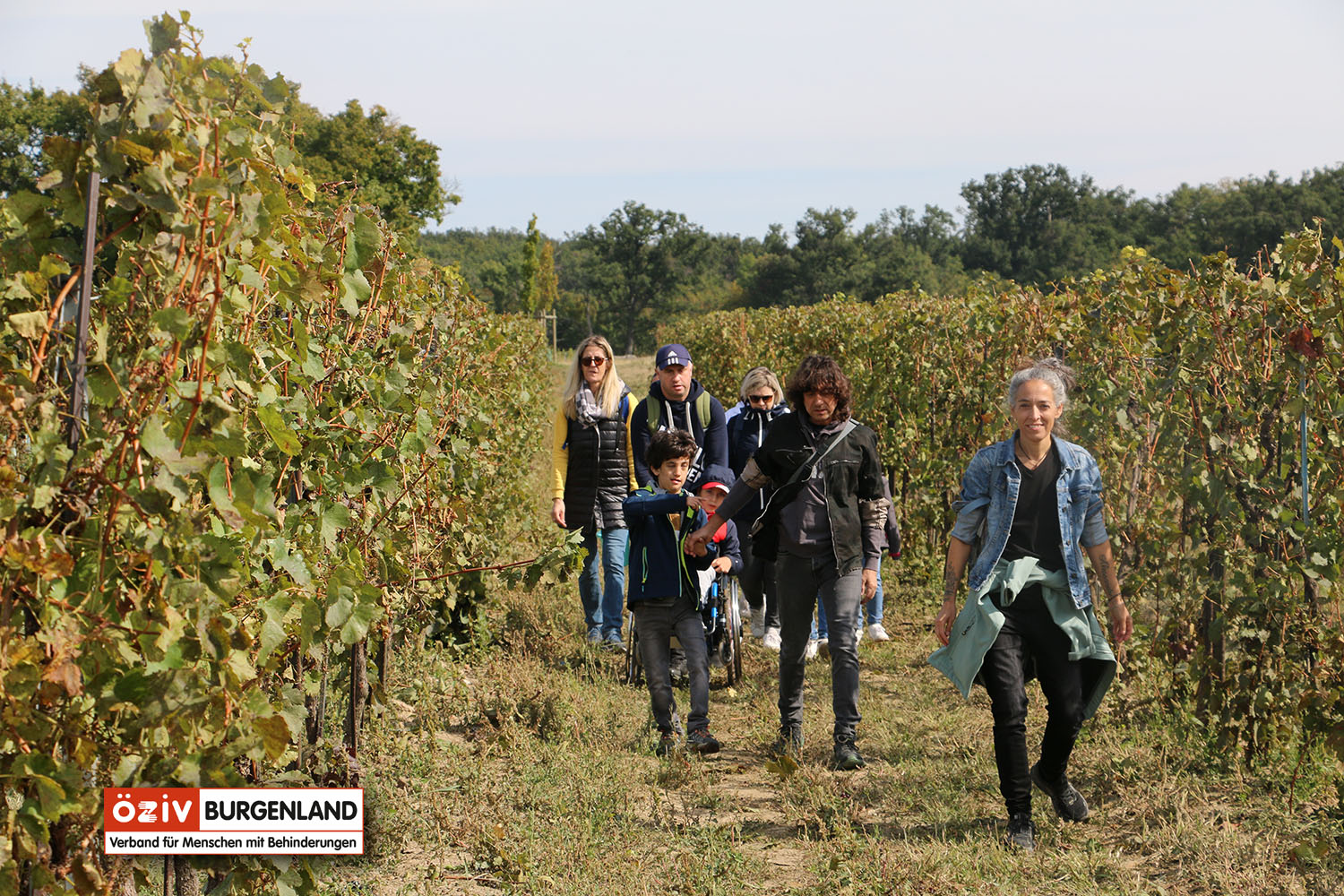 Die Gruppe auf dem Weg durch den Weingarten