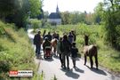 Menschen mit Lamas auf dem Weg