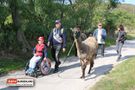 Menschen mit Lama