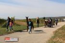 Kinder und Erwachsene mit Lamas auf dem Weg
