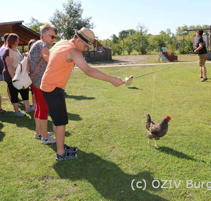 Kind mit Huhn