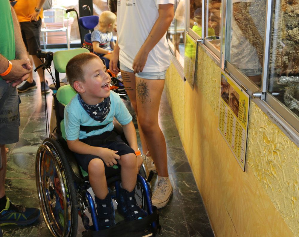 Bub im Rollstuhl vor Terrarium