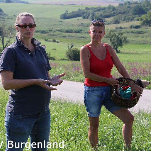 004-Mag. Marlene Hrabanek-Bunyai und Uschi Zezelitsch