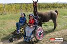 2 Buben im Rolli mit Lama