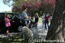 Menschen auf dem Parkplatz