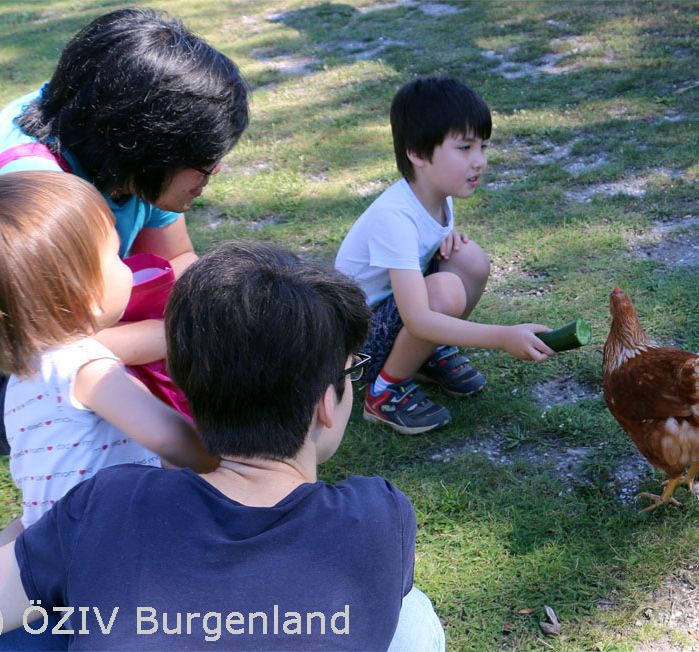 Kinder mit Huhn