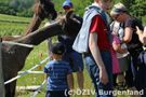 Am Zaun der Lamaweide