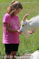 Die Ziegen waren sooo lieb und sanft