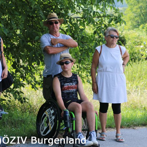 009-Im kühleren Schatten