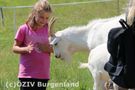 Die Ziegen waren sooo lieb und sanft