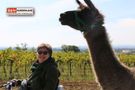 Frau mit Lama