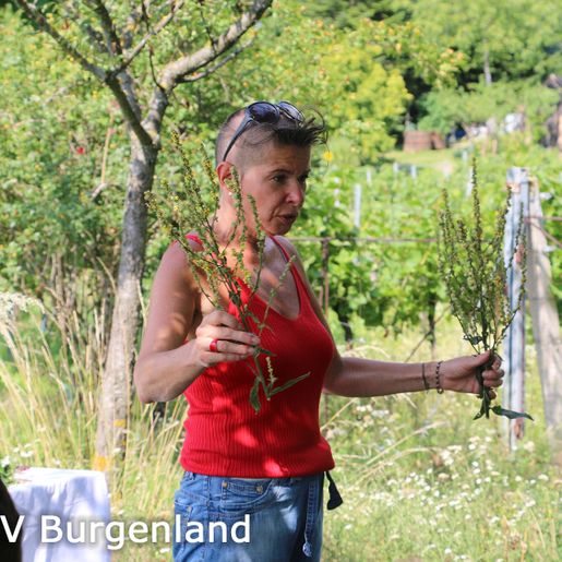 027-Uschi erklärt Kräuter
