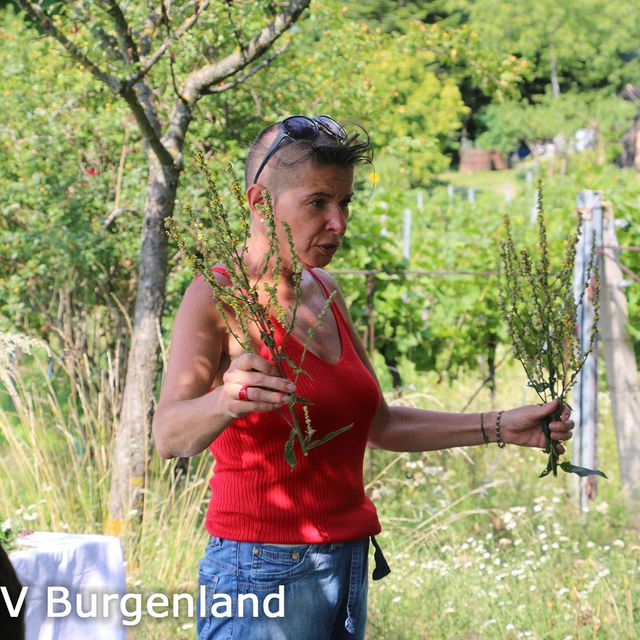 027-Uschi erklärt Kräuter