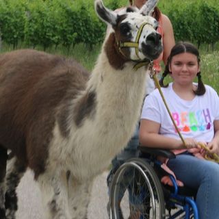 Mädchen im Rollstuhl mit Lama
