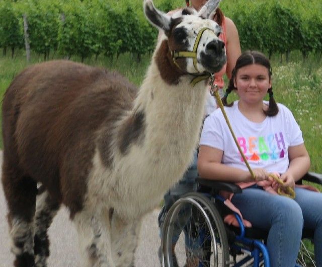 Mädchen im Rollstuhl mit Lama