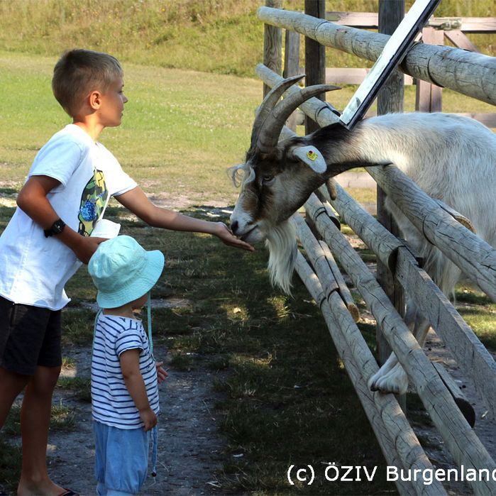 Kinder mit Ziegen