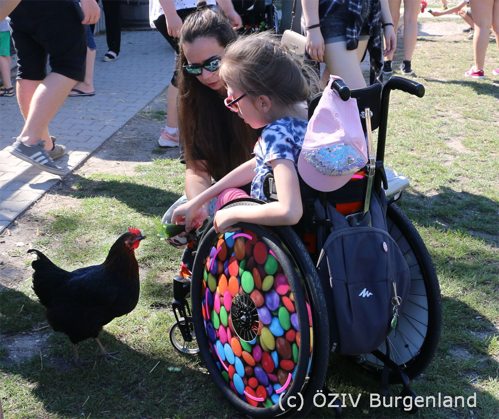 Kind im Rollstuhl mit Huhn
