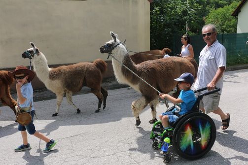 Kinder mit Lamas
