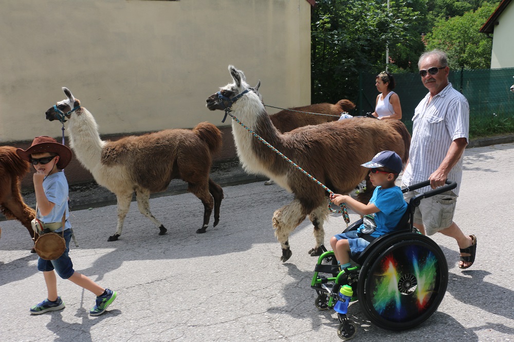 Kinder mit Lamas