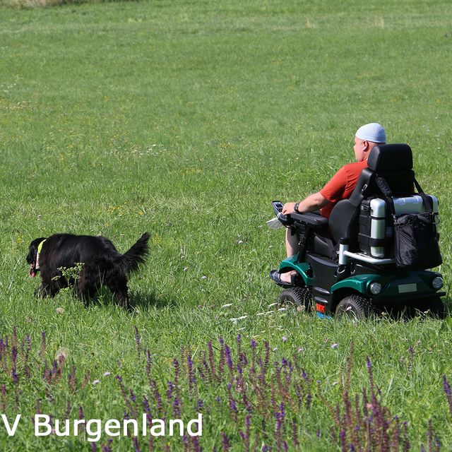 012-Der E-Rolli ist geländetauglich