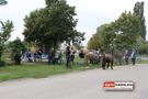 Gruppe mit Lamas am Spielplatz 