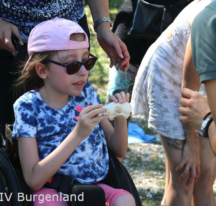 Kind mit Sonnenbrile im Rollstuhl