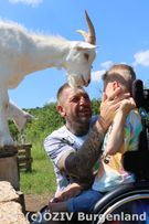 Ziege und Kind im Rollstuhl mit Papa